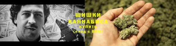 гидра Нея