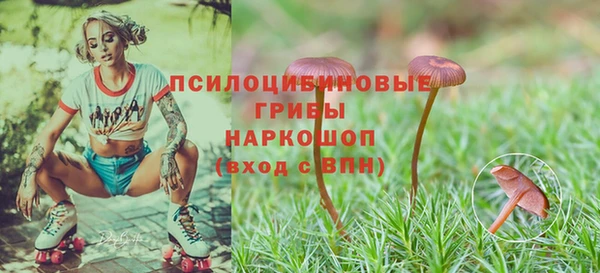 марки lsd Надым