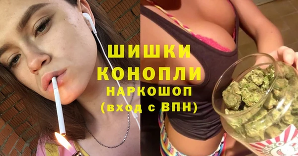 гидра Нея