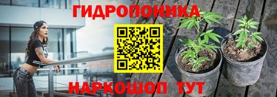 гидра Изобильный
