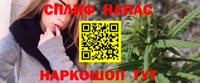 гашик Ипатово