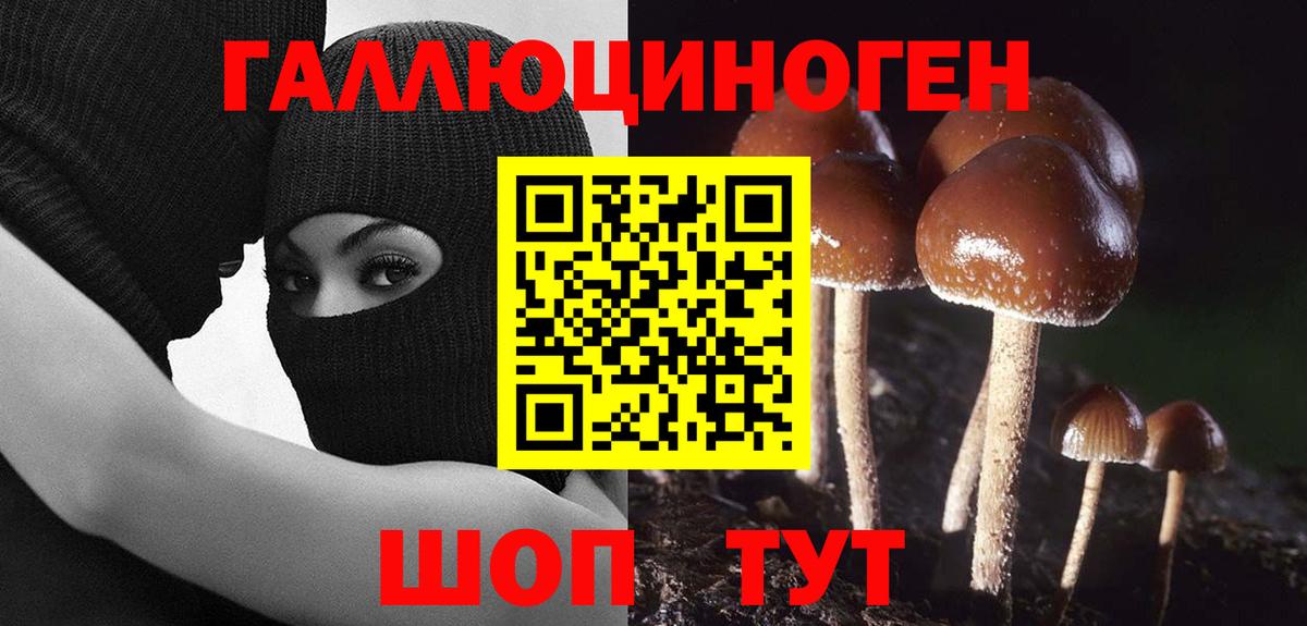 Лосино-Петровский  Псилоцибиновые грибы мухоморы  Вход с VPN 